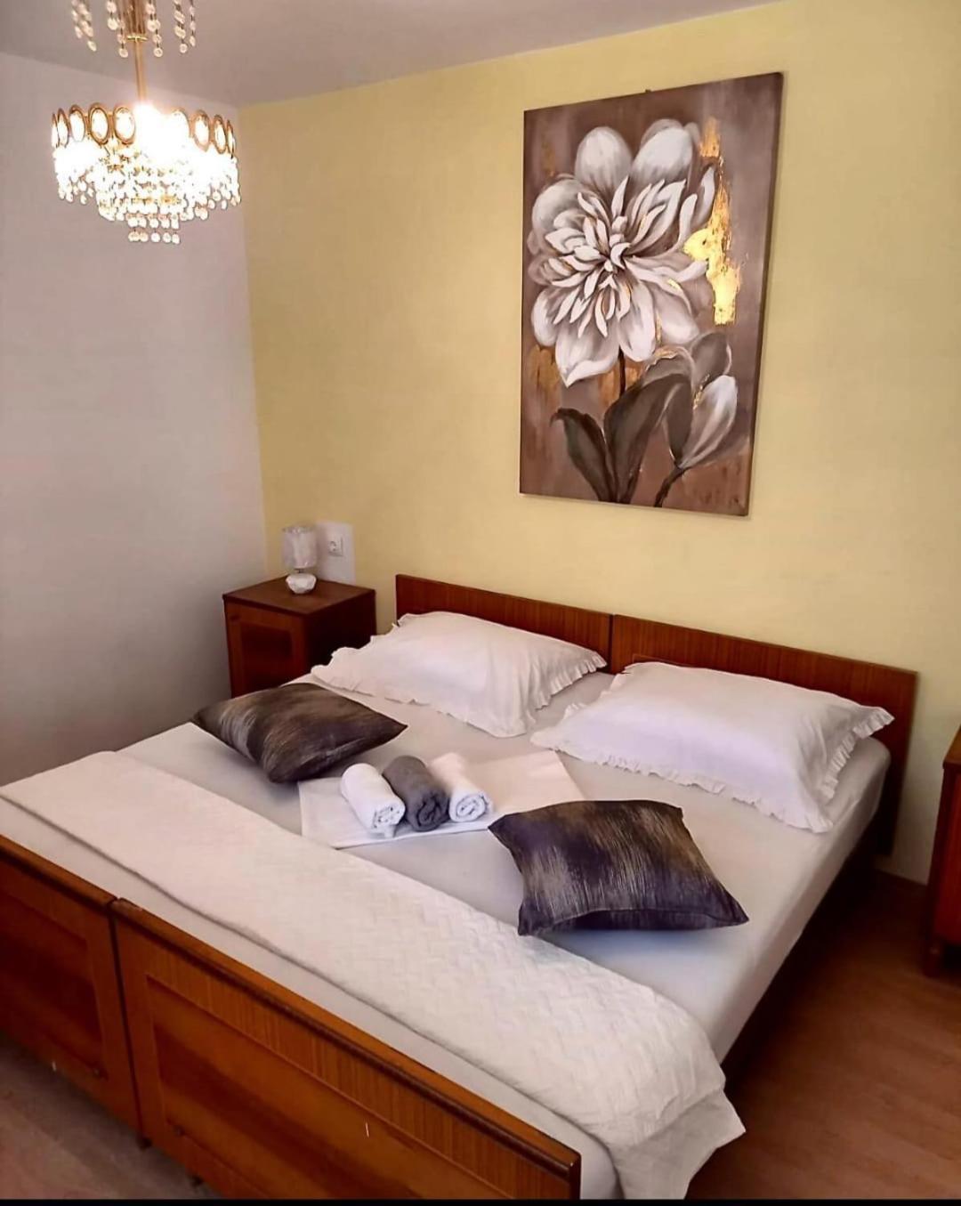 Apartment Ruzo Moja زادار المظهر الخارجي الصورة